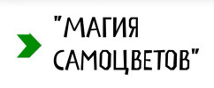 Магия самоцветов